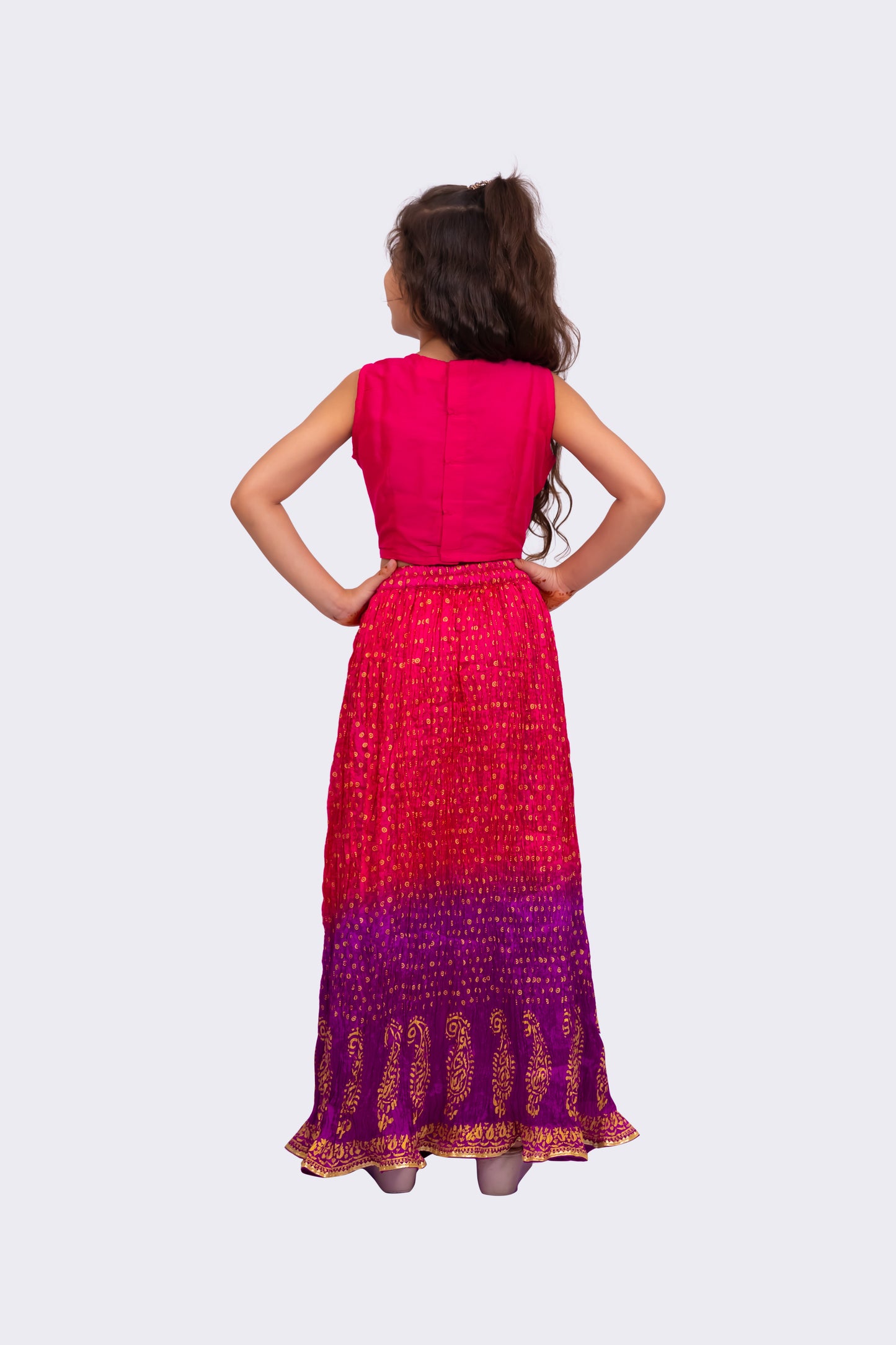 Twisha Sleeveless Embroidered Top with Lehenga -Pink & Purple