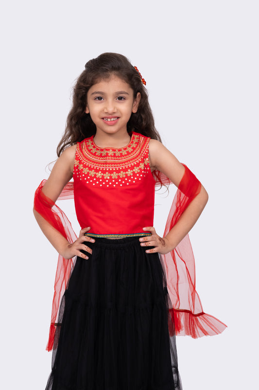 Twisha Sleeveless Embroidered Round Neck Choli With Lehenga-Red & Black