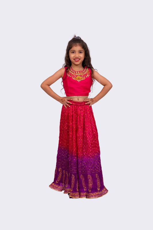 Twisha Sleeveless Embroidered Top with Lehenga -Pink & Purple
